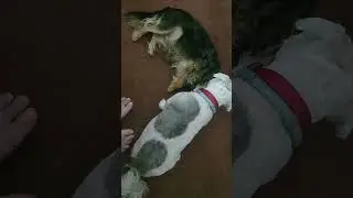 Two best friends