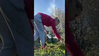 Май