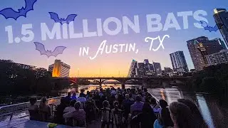 How to See the Austin Bats