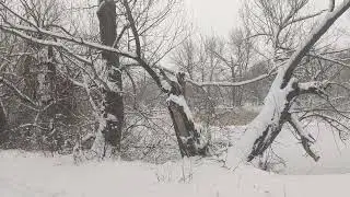 Бросил пить алкоголь - стало много свободного времени. Чем заполнить пустоту.