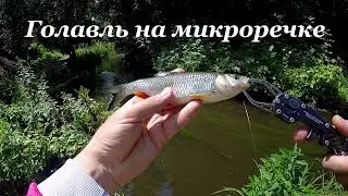 Стритфишинг в Харькове. Ловля голавля на микроречке.