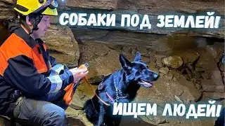 Как собаки ищут людей в подземелье. Тренировка в одесских катакомбах. Ищем людей под 
