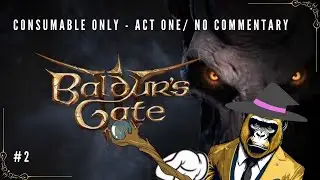 Baldur gate 3 Act One - Consumables Only / Test run #2.