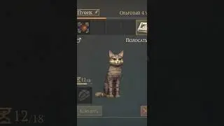 Grim Soul - Cat 