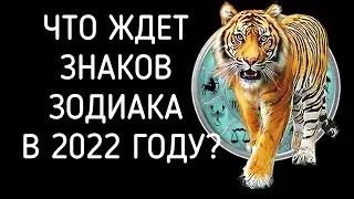 ЧТО ЖДЕТ ЗНАКОВ ЗОДИАКА В 2022 ГОДУ ЧЕРНОГО ВОДЯНОГО ТИГРА? КАКИМ БУДЕТ 2022 ГОД ТИГРА?