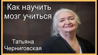 Татьяна Черниговская.  Как научить мозг учиться
