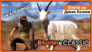 Охота на Диких Козлов в theHunter Classic !