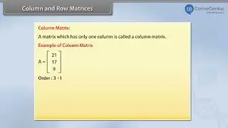 Column and Row Matrix