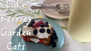 Berries From My Garden | Easy Dessert For Guests | Garden Flowers | Cats