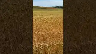 The Forgotten Sounds of Native America