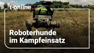 Vielseitig einsetzbar: Ukraine schickt Roboterhunde an die Front