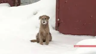 Вирус не дремлет_12.01.2024_СольТВ