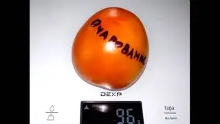 Томат Очарование