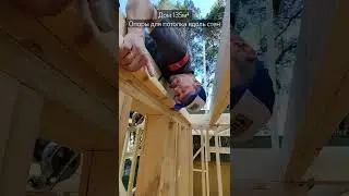На стенах вдоль лаг нужно основание для крепления потолка.