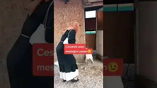Türbanlı tiktokda