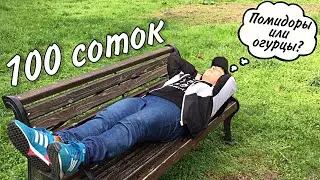 Мои 100 СОТОК! • Ищу КАБАНА для шашлыка • Подскажите, что сажать? / AIDA ASKEROVA