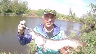 Рыбалка в мае, трудовая Щука!