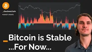 Bitcoin Market Update: Stable For Now... (Onchain Analysis, Derivatives, Macro)