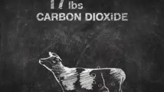 How Do You Make Ethanol? | The Ethanol Effect