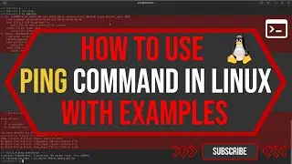 How to Use PING command in Linux with Examples