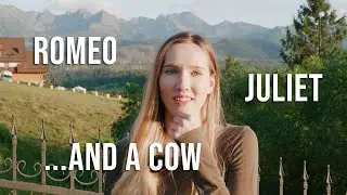 Can Romeo and Juliet beat the cute cow?