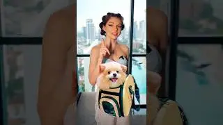 Как сделать Крутую Обложку для Видео со Шпицем (рисую шерсть собаке) 