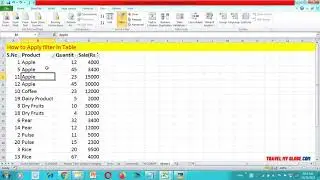 How to apply Filter Function in Excel File. Learn in easy way