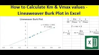 How to calculate Km and Vmax values - Lineweaver Burk plot in Excel