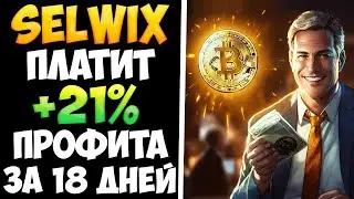 Selwix инвест проект для людей