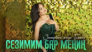Замирбек кызы Гулина - СЕЗИМИМ БАР МЕНИН | НОВЫЙ ХИТ | MOOD VIDEO | 2024