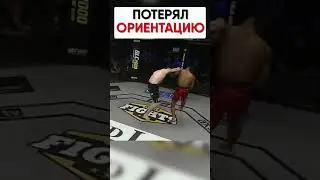 БОЕЦ ПОПУТАЛ С КЕМ ДЕРЕТСЯ | Обзор спортивного события