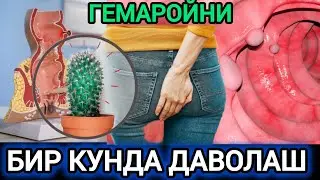 ДАХШАТ БИР КУНДА ЙЎҚ БЎЛИБ КЕТДИ