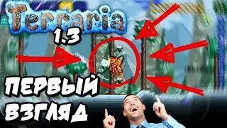 ПЕРВЫЙ ВЗГЛЯД - ТЕРРАРИЯ 1.3 НА АНДРОИД // TERRAIA 1.3 БЕТА 中国的混蛋