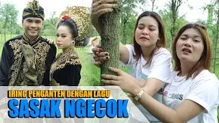Iring penganten Selapuq Pade Ngecok 