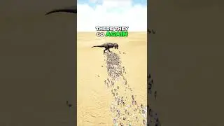 Day 13 Building Our Dodo Army to Defeat the Rex #DodoDominance #ArkAdventures #SubscribeForDodo #ark