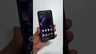 Pixel 8  Caseology Nano Pop Back Cover Case