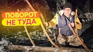 Лесной хутор не выпускал нас, ломая деревья на нашем пути.
