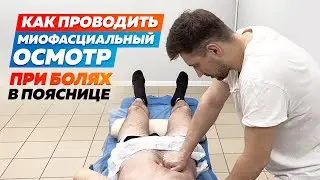 Миофасциальный Синдром. Как Вас ДОЛЖНЫ Диагностировать ПРИ БОЛИ В СПИНЕ?