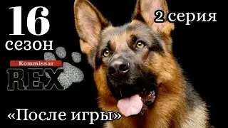 Комиссар Рекс, 16 сезон, 2 серия «После игры »