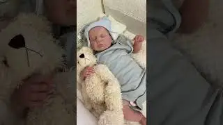 #reborn