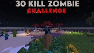 30 Zombie Kill With Iron ARMOR In Minecraft 😱 |#shorts #youtube #minecraft #ytshorts