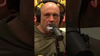 Joe Rogan on Donald Trump's Revenge on Joe Biden