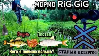 Мормо RIG GIG | Окунь VS Плотва | Кого я поймаю больше?