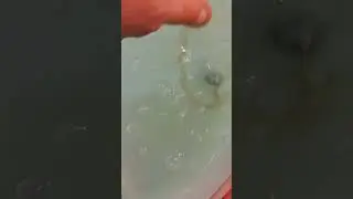 Компрессор на несколько аквариумов своими руками