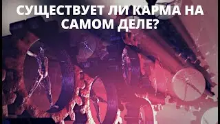 №118. СУЩЕСТВУЕТ ЛИ КАРМА НА САМОМ ДЕЛЕ? Роберт Адамс. Сатсанг и Самопознание