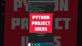 Python project ideas for beginners #2 | Python turtle ideas