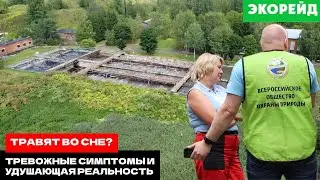 Сон на грани: тревожные симптомы и удушающая реальность