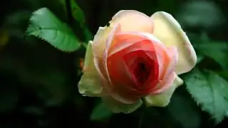 Новый русский клип в машину онлайн