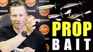 【Early Summer】PROP BAIT Family【Fall Feed】