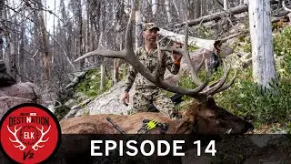 Giant Wyoming Bull Down! (Destination Elk V2: Episode 14)